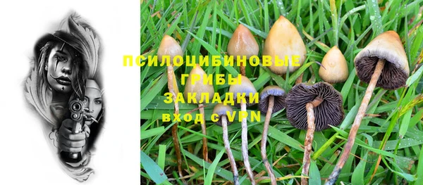 мяу мяу мука Ельня