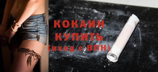 стафф Елизово